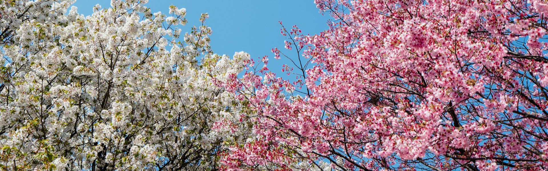 Aktuelles April Mai Featured Image