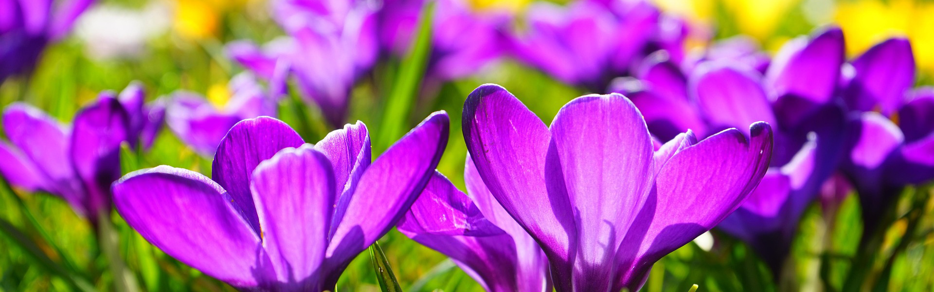 Aktuelles Fruehling Featured Image