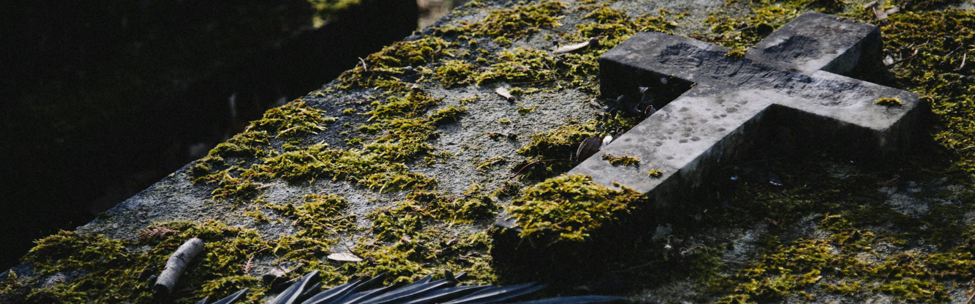 Friedhof Featured Image