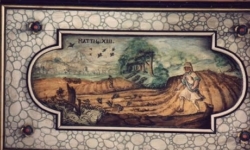 felderdecke-7